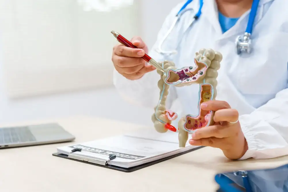 Doctor holding an anatomical model of the colon and rectum during a patient consultation.